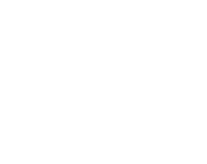 B2N